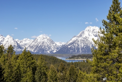 Singal Mountain Grand Tetons May 2025